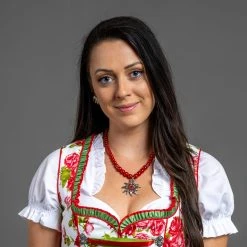 Allgäu Rebell Dirndl " München " In Grün -Dirndl Geschäft allgau rebell dirndl munchen in grun 3 scaled